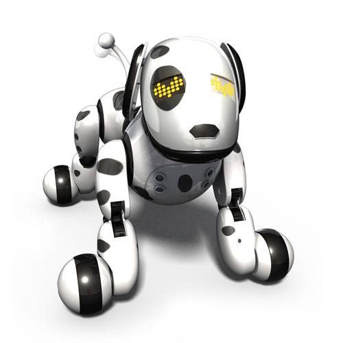 robot duke chien interactif