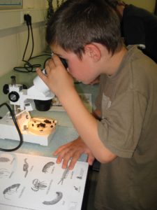comment utiliser un microscope enfant